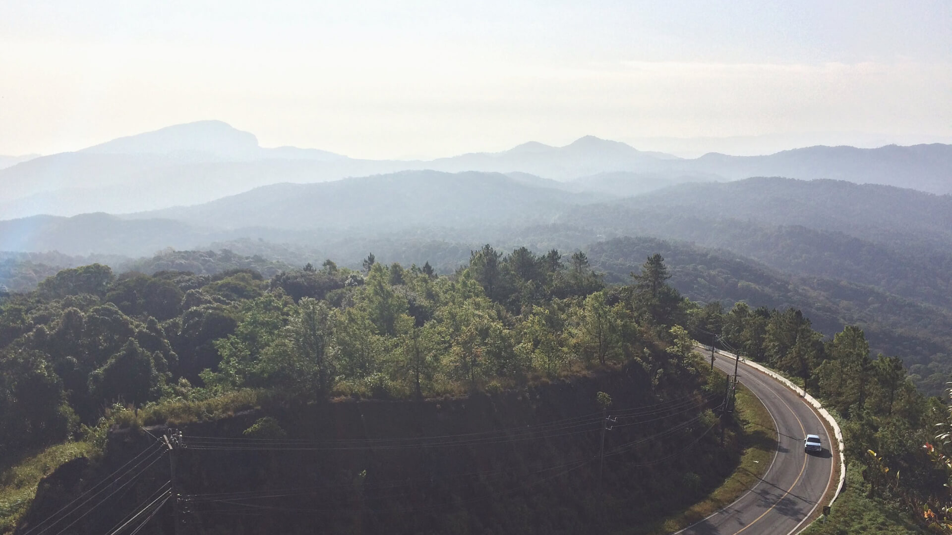 Carlife перевозки